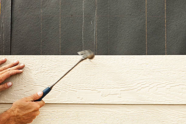 Affordable Siding Repair and Maintenance Services in Palmetto, FL